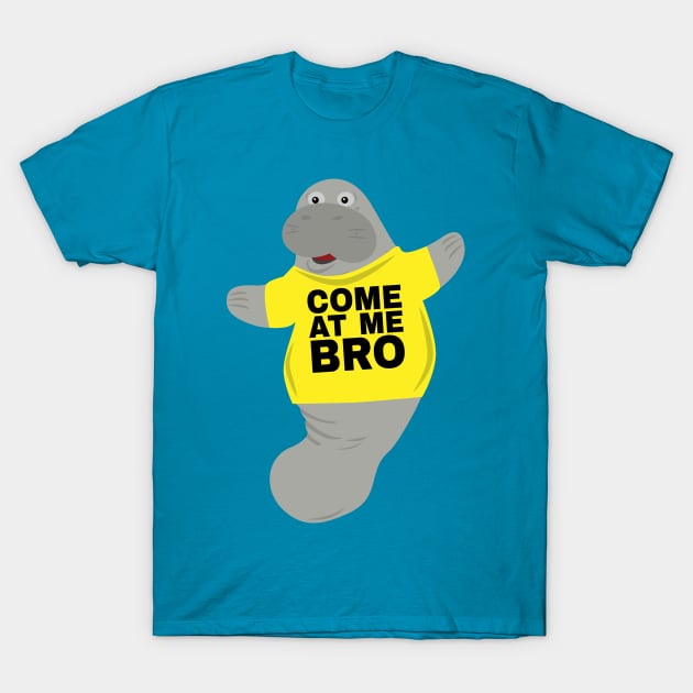 Novelty tees online
